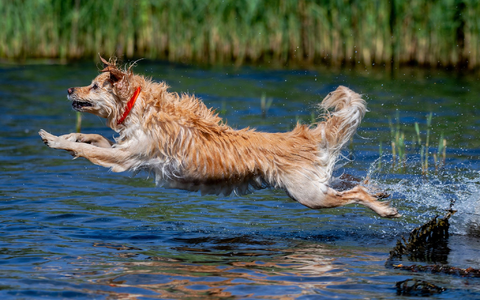 Am Sonntag nimmt dann die Wärmebelastung deutlich zu. (Archivbild) - Foto: Hauke-Christian Dittrich/dpa Am Sonntag nimmt dann die Wärmebelastung deutlich zu. (Archivbild) - Foto: Hauke-Christian Dittrich/dpa