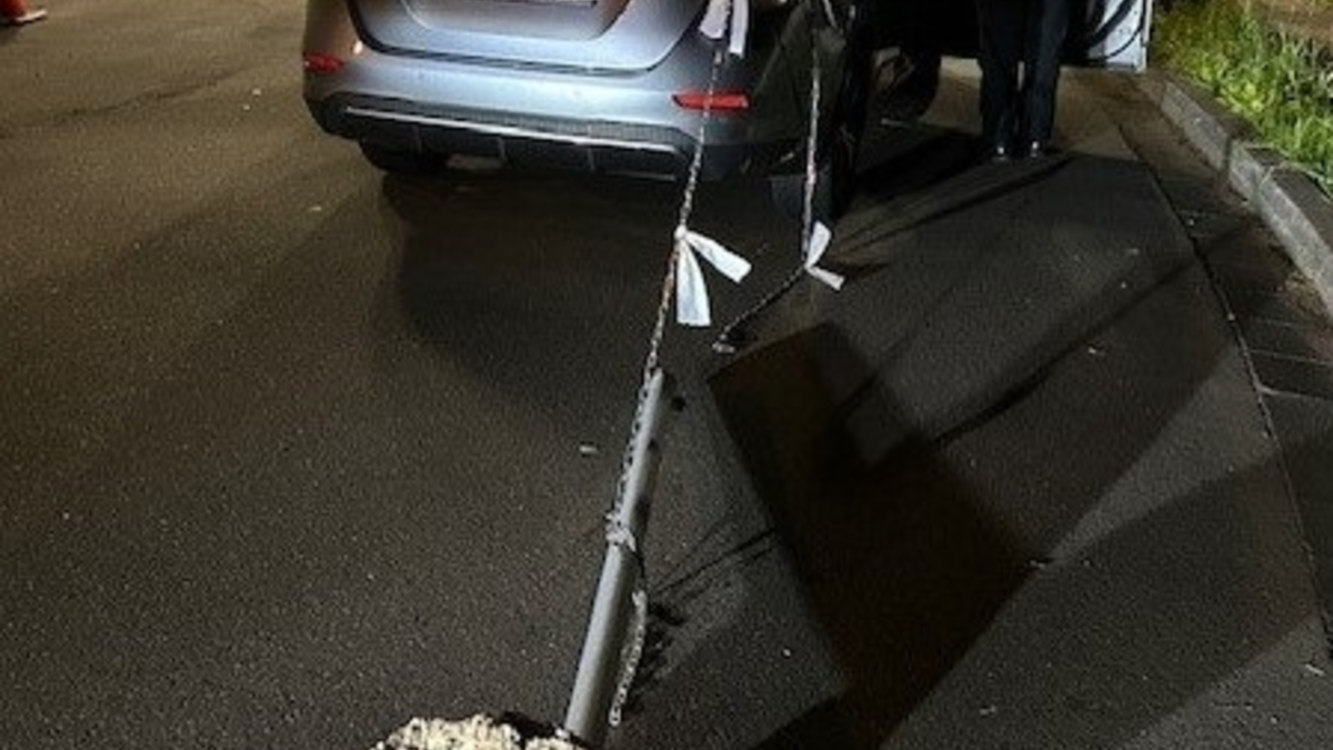 POL-PDKL: Kurioser Verkehrsunfall - Foto: presseportal.de