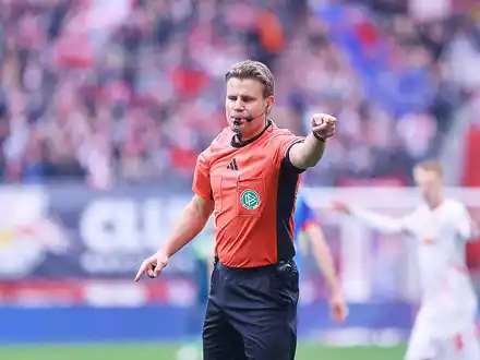Felix Brych (Archiv) - Foto: ĂŒber dts Nachrichtenagentur