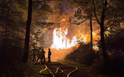 FW-E: Großer Holzstapel geht in Flammen auf - Feuerwehr verhindert Ausbreitung auf angrenzenden Wald - Foto: presseportal.de