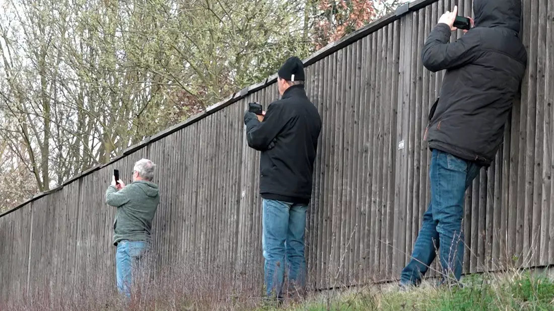 An Unfallstellen mit dem Handy draufhalten und filmen - ein Ärgernis für die Retter. (Symbolbild) - Bild: Alexander Auer/dpa