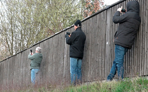An Unfallstellen mit dem Handy draufhalten und filmen - ein Ärgernis für die Retter. (Symbolbild) - Foto: Alexander Auer/dpa