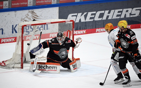 Techem und Löwen Frankfurt verlängern Partnerschaft langfristig / Nachhaltig stark: Techem bleibt Exklusivpartner der Löwen Frankfurt - Foto: presseportal.de