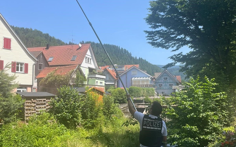 POL-OG: Mittelbaden - Mit guten Nachrichten ins Wochenende - Foto: presseportal.de