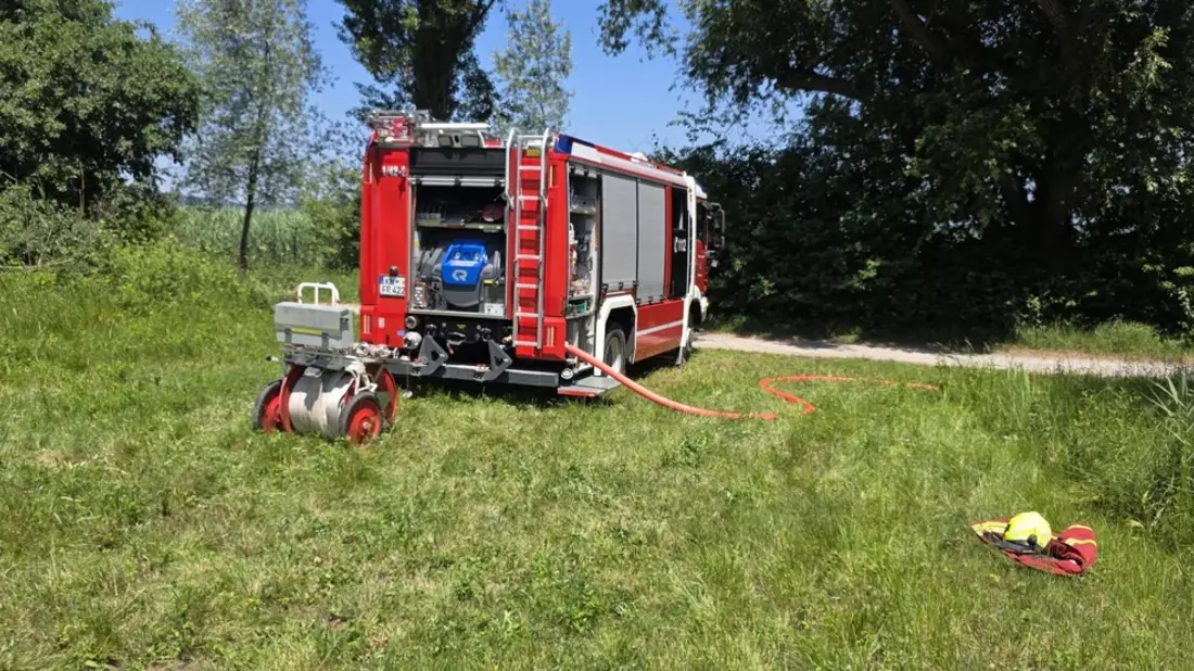 FW Reichenau: Hohler Baum fängt erneut an zu Glimmen, 20.06.2024, Reichenau-Mittelzell - Bild: presseportal.de