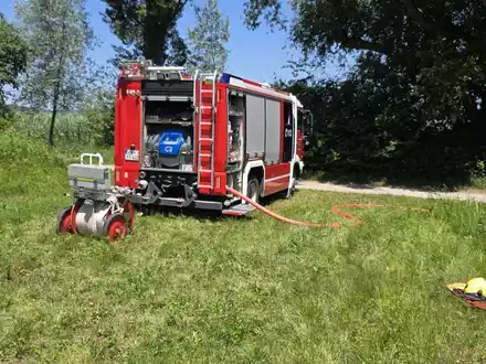 FW Reichenau: Hohler Baum fängt erneut an zu Glimmen, 20.06.2024, Reichenau-Mittelzell - Foto: presseportal.de