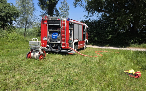 FW Reichenau: Hohler Baum fängt erneut an zu Glimmen, 20.06.2024, Reichenau-Mittelzell - Foto: presseportal.de