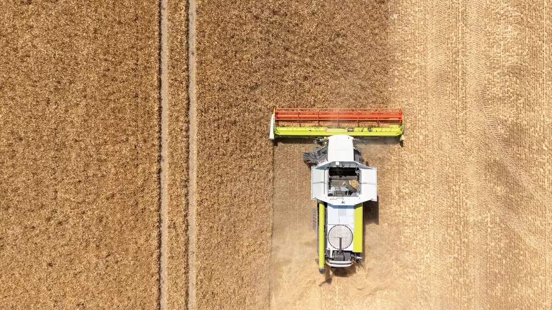 Mähdrescher rollen zur Ernte auf die ersten Äcker. (Archivbild) - Bild: Sebastian Kahnert/dpa