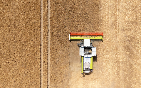 Mähdrescher rollen zur Ernte auf die ersten Äcker. (Archivbild) - Foto: Sebastian Kahnert/dpa
