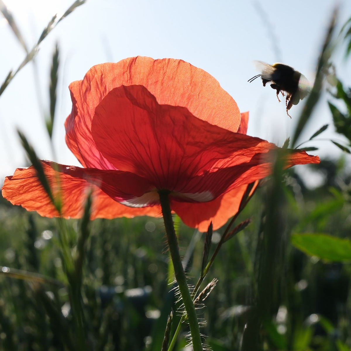 Am Wochenende scheint oft die Sonne. - Foto: Sebastian Willnow/dpa