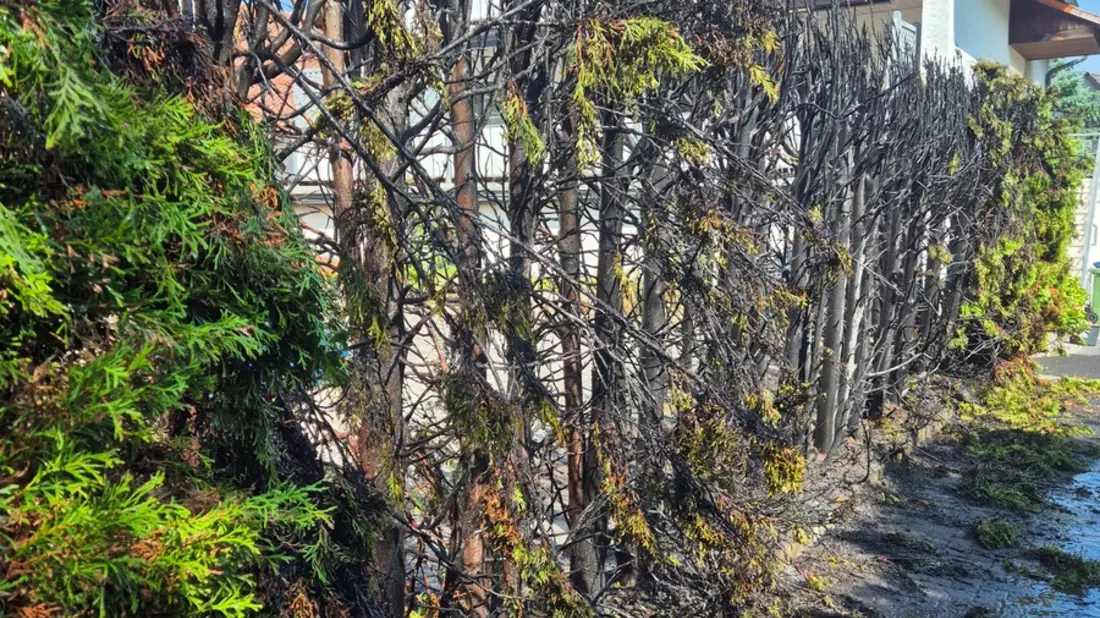 FW Ense: Brennende Hecke - Gebäude in Gefahr - Bild: presseportal.de