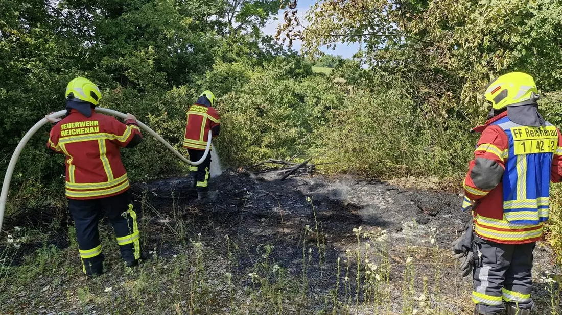 FW Reichenau: Grünschnitt in Brand geraten, Reichenau-Oberzell, 21.06.2025 - Bild: presseportal.de