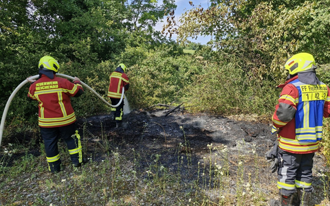 FW Reichenau: Grünschnitt in Brand geraten, Reichenau-Oberzell, 21.06.2025 - Foto: presseportal.de