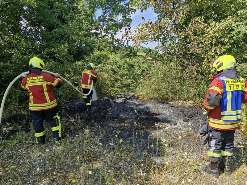 FW Reichenau: Grünschnitt in Brand geraten, Reichenau-Oberzell, 21.06.2025 - Foto: presseportal.de