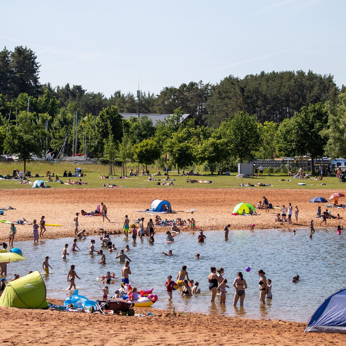 Der 2-Meter-Fisch war im Brombachsee unterwegs, ein Polizist erschoss ihn. (Archivfoto)  - Foto: Daniel Karmann/dpa