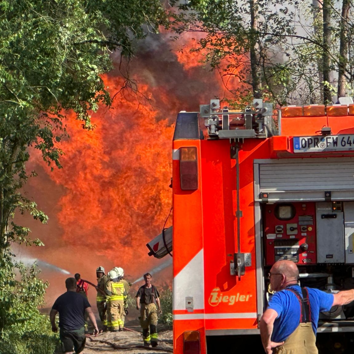 An vielen Orten ist die Waldbrandgefahr derzeit hoch. - Foto: Christian Guttmann/Brandenburg News24/dpa