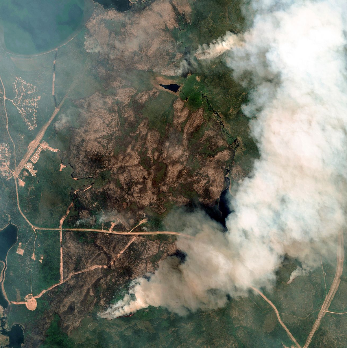 Die zunehmende Waldbrandgefahr ist nur einer der Gründe, weshalb Aufforstung als CO2-Ausgleich seine Tücken hat. - Foto: Maxar Technologies/AP/dpa