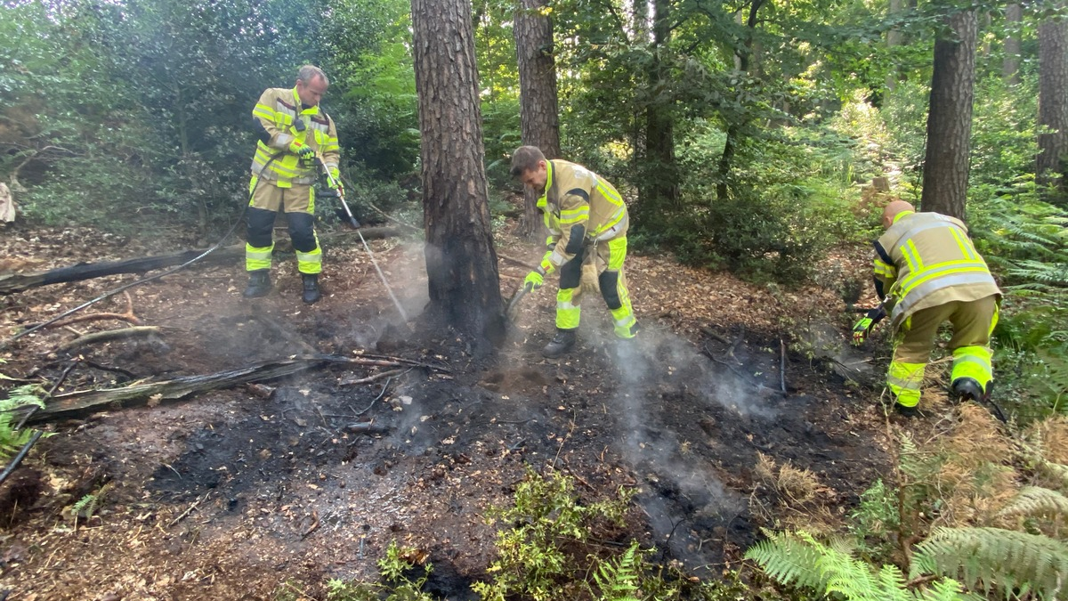 FW-MK: Waldbrand rechtzeitig entdeckt - Foto: presseportal.de