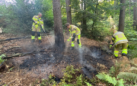 FW-MK: Waldbrand rechtzeitig entdeckt - Foto: presseportal.de