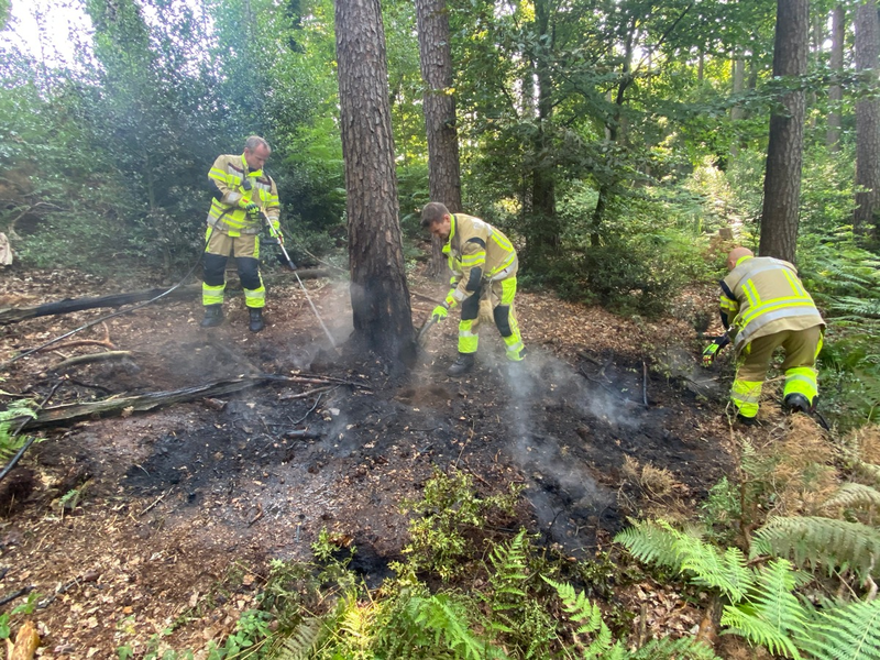 FW-MK: Waldbrand rechtzeitig entdeckt - Foto: presseportal.de