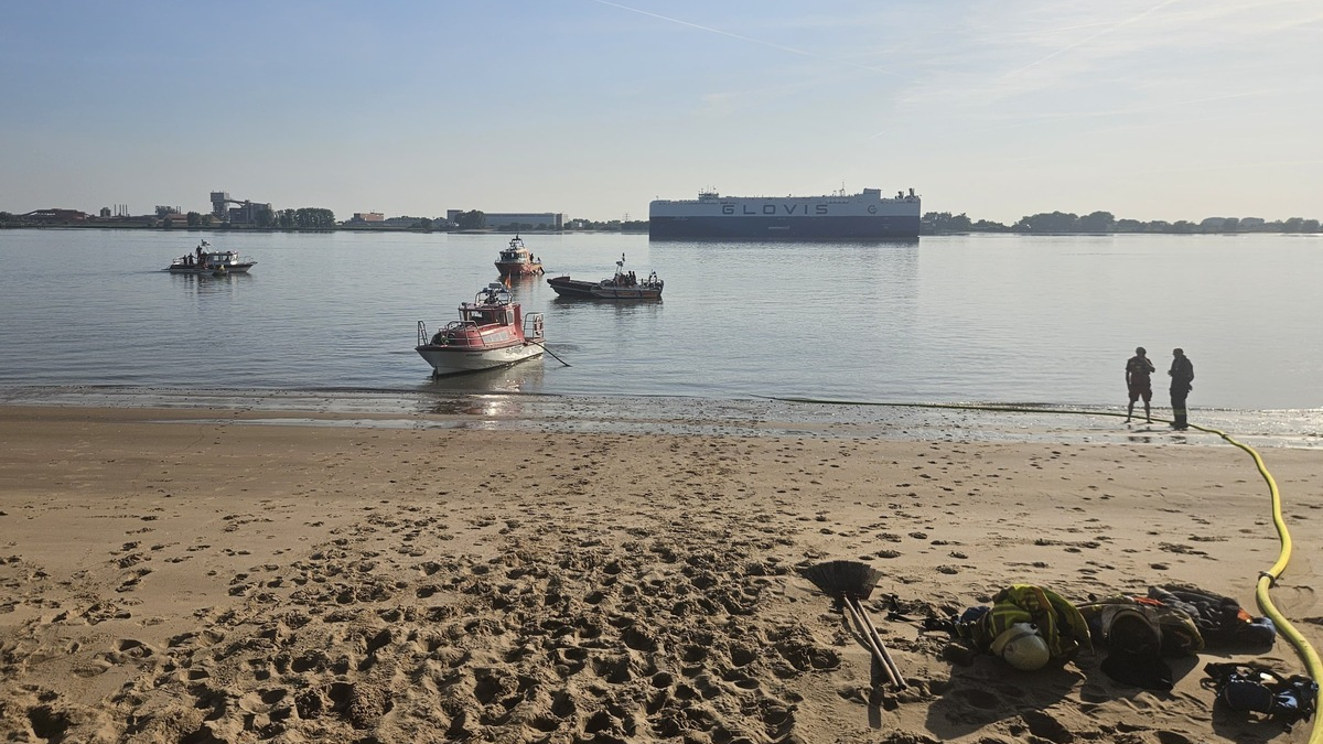 FW-PI: Vegetationsbrand auf der Elbinsel Pagensand - Aufwendiger Einsatz über Wasserwege - Foto: presseportal.de