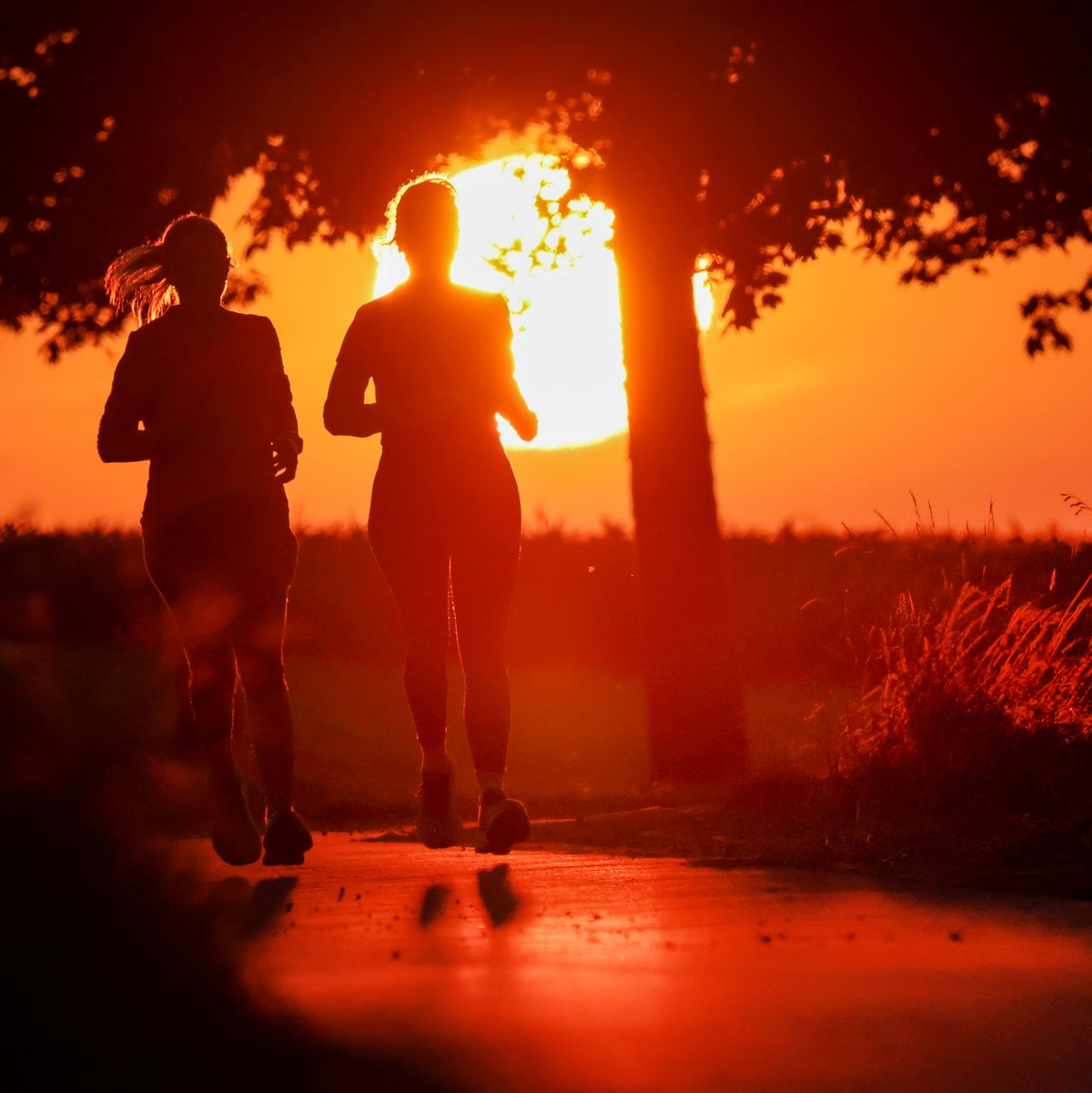 Zwei Frauen joggen am Morgen, während hinter ihnen die Sonne aufgeht. - Foto: Thomas Warnack/dpa