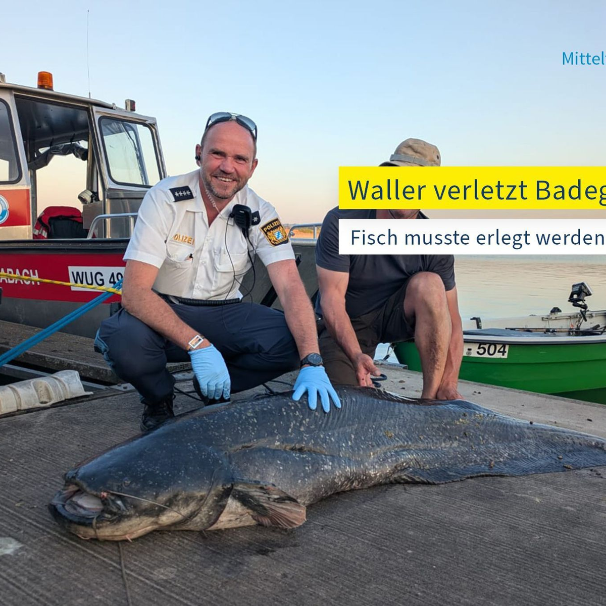 Die Polizei hat ein Foto des erlegten Riesenwels veröffentlicht. - Foto: -/Polizei Mittelfranken/dpa