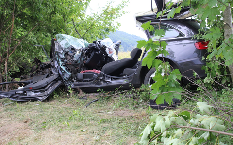POL-MI: Hiller prallt gegen Baum - Schwer verletzt eingeklemmt - Foto: presseportal.de