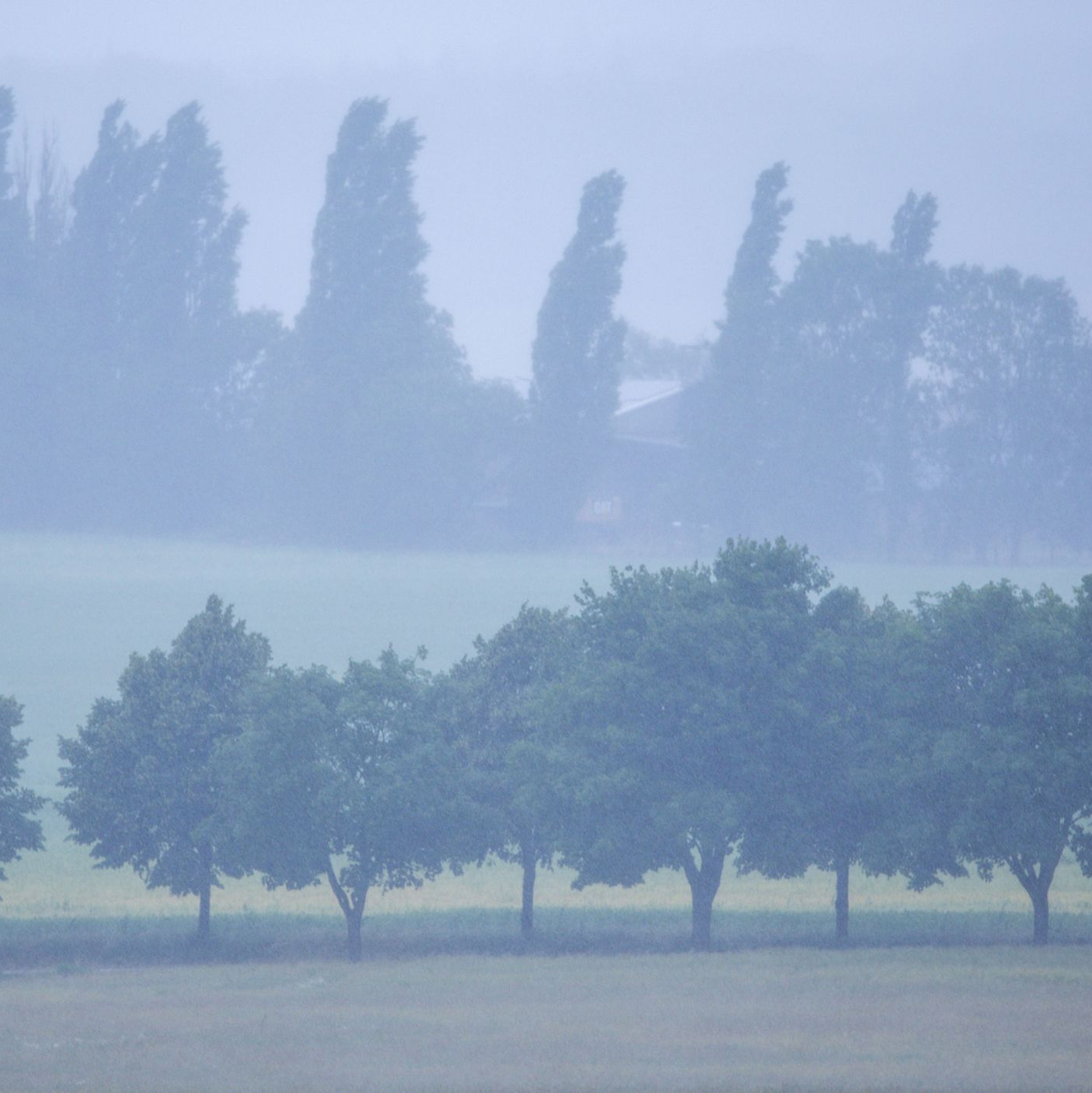 Ein Starkregengebiet zieht über Mecklenburg-Vorpommern. - Foto: Jens Büttner/dpa