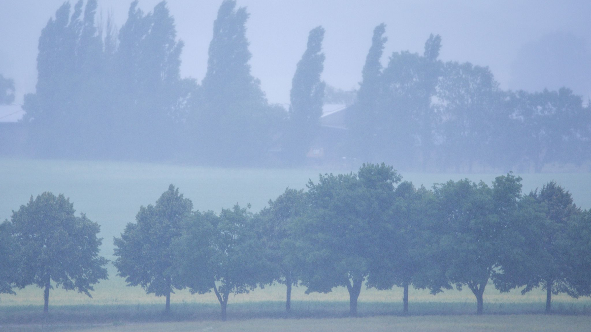 Im Nordosten Deutschlands wird heftiger Regen erwartet. (Archivbild) - Foto: Jens Büttner/dpa