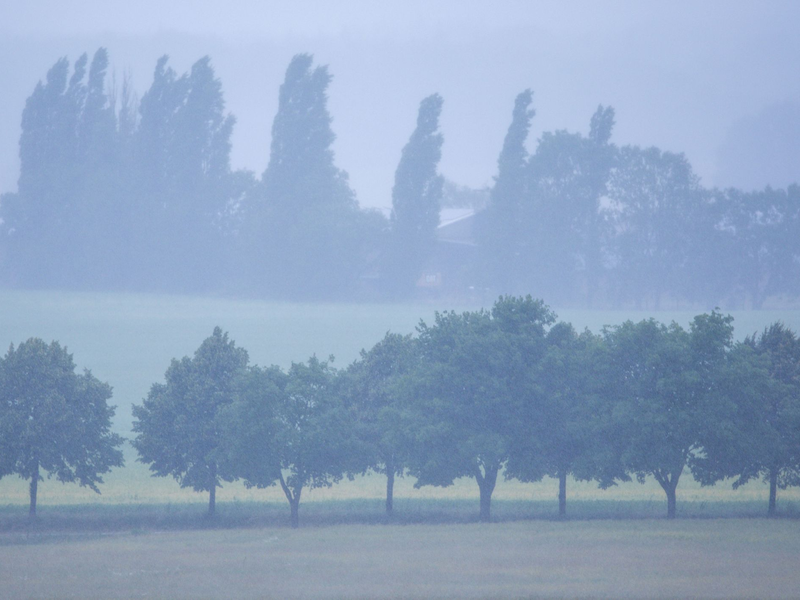 Im Nordosten Deutschlands wird heftiger Regen erwartet. (Archivbild) - Foto: Jens Büttner/dpa