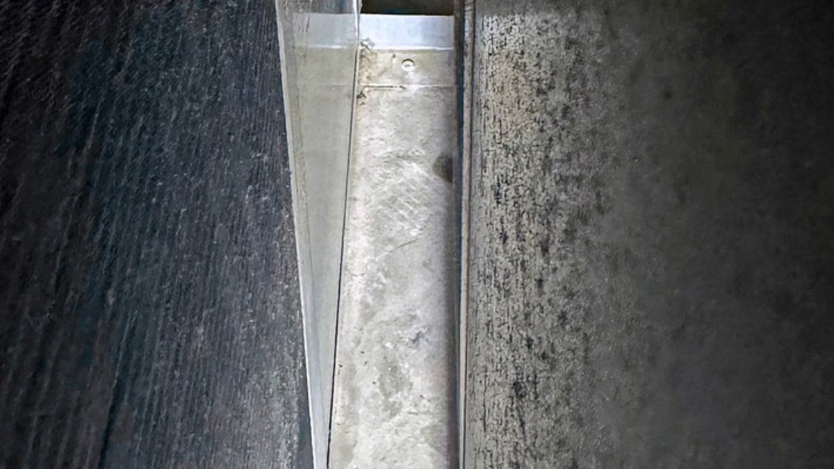 FW-M: Tierischer Auftritt (Olympiapark) - Foto: presseportal.de