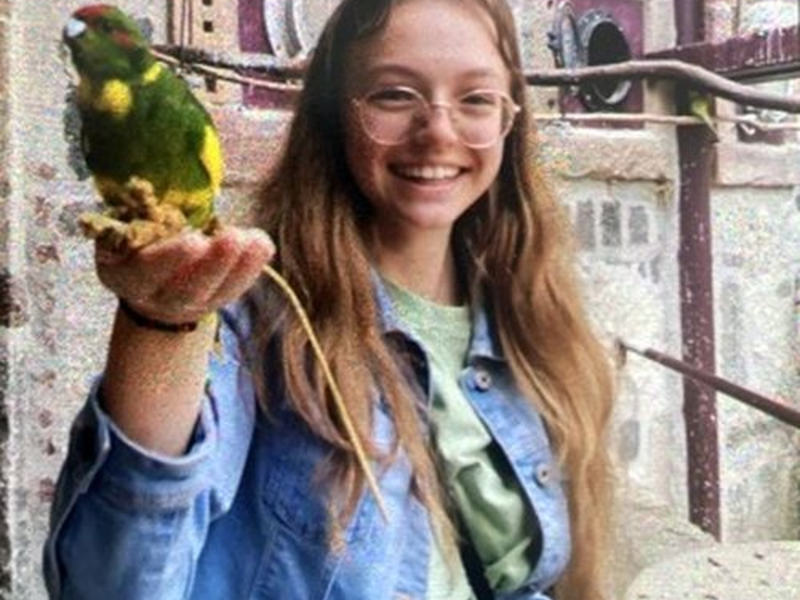 POL-HG: 14-Jährige aus Neu-Anspach vermisst - Foto: presseportal.de