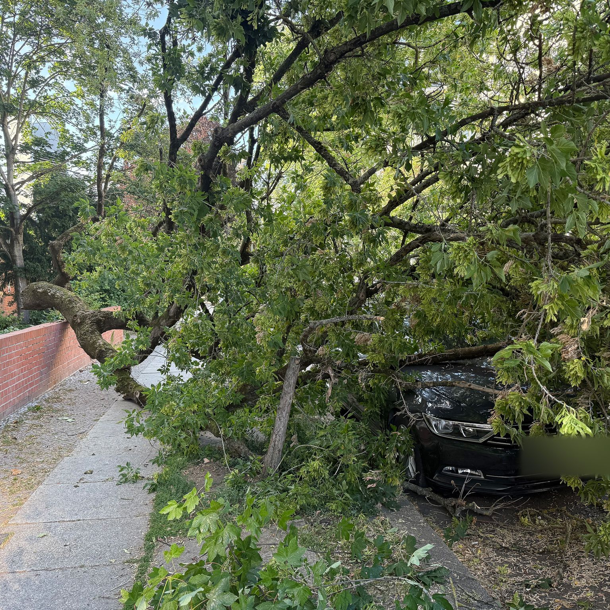 Um die Sturmschäden zu beseitigen, musste die Feuerwehr am Montagabend zu zahlreichen Einsätzen ausrücken. - Foto: Marion van der Kraats/dpa-Zentralbild/dpa