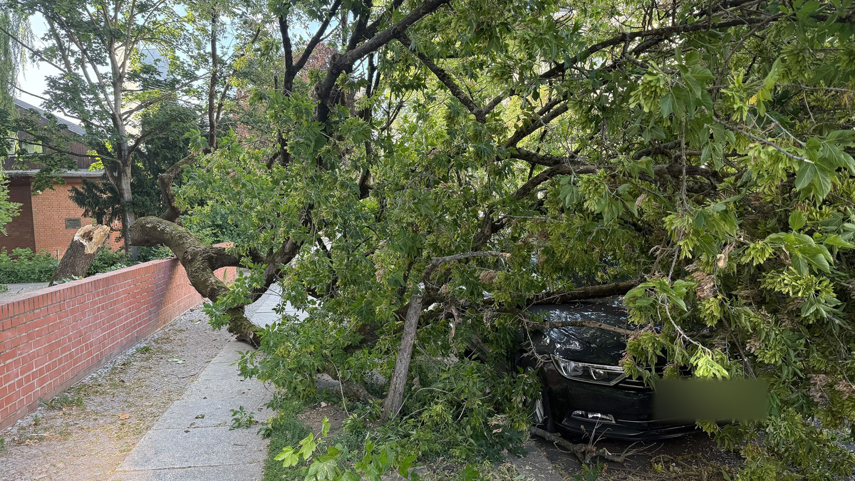 Um die Sturmschäden zu beseitigen, musste die Feuerwehr am Montagabend zu zahlreichen Einsätzen ausrücken. - Foto: Marion van der Kraats/dpa-Zentralbild/dpa