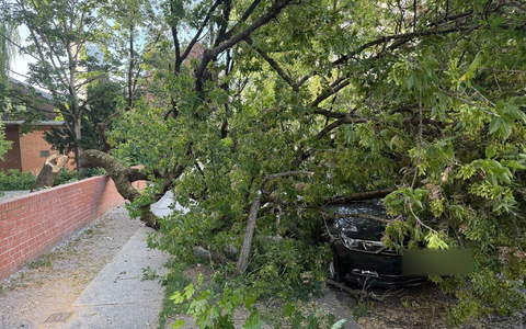 Um die Sturmschäden zu beseitigen, musste die Feuerwehr am Montagabend zu zahlreichen Einsätzen ausrücken. - Foto: Marion van der Kraats/dpa-Zentralbild/dpa Um die Sturmschäden zu beseitigen, musste die Feuerwehr am Montagabend zu zahlreichen Einsätzen ausrücken. - Foto: Marion van der Kraats/dpa-Zentralbild/dpa