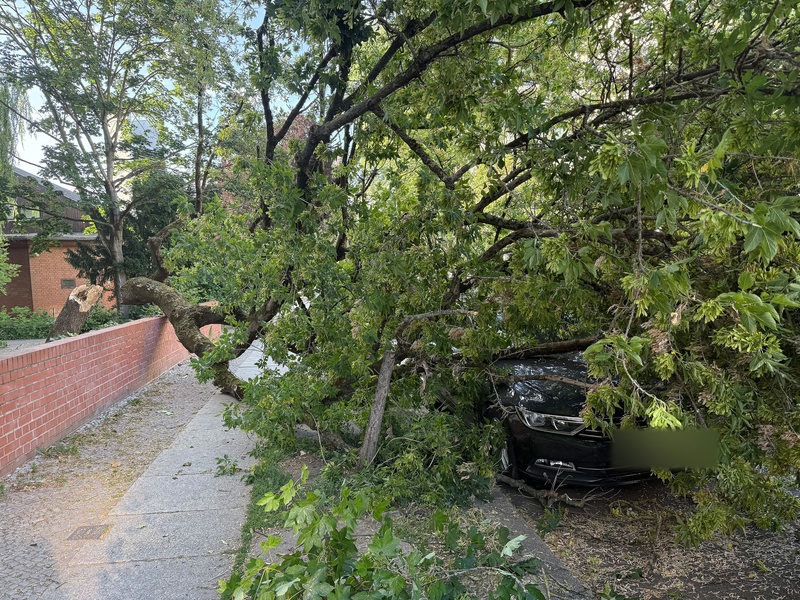 Um die Sturmschäden zu beseitigen, musste die Feuerwehr am Montagabend zu zahlreichen Einsätzen ausrücken. - Foto: Marion van der Kraats/dpa-Zentralbild/dpa