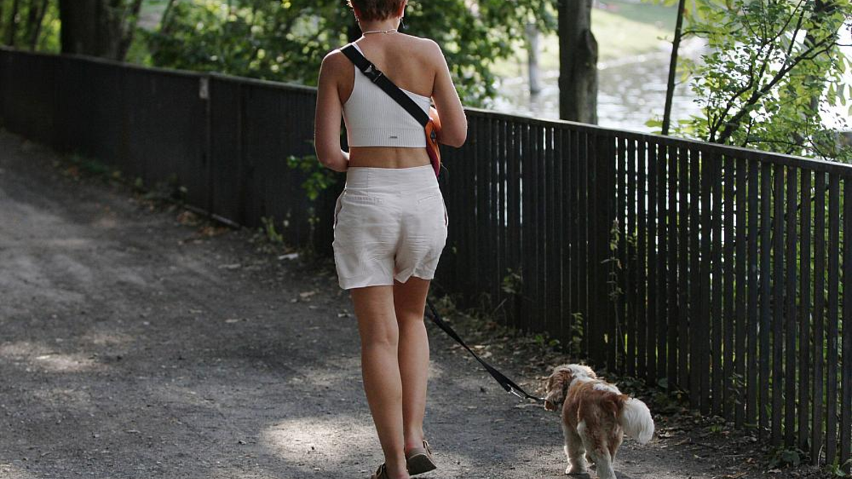 Frau geht Gassi (Archiv) - Foto: über dts Nachrichtenagentur