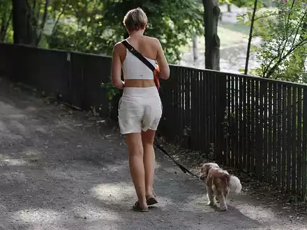 Frau geht Gassi (Archiv) - Foto: über dts Nachrichtenagentur