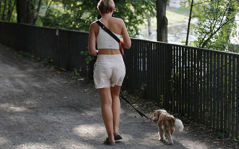 Frau geht Gassi (Archiv) - Foto: über dts Nachrichtenagentur