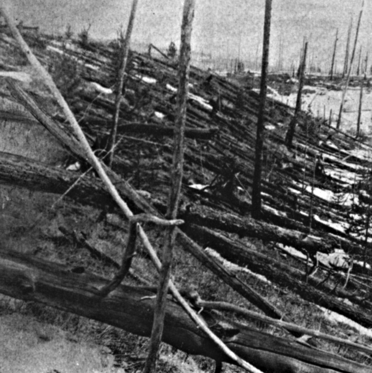 Das Tunguska-Ereignis: Wahrscheinlich ein großer Brocken aus dem All verwüstete 1908 ein Gebiet in Sibirien. (Archivbild) - Foto: L. Kulik/Russische Akademie der Wissenschaften/dpa