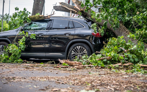Orkanartige Windböen, wie sie in Berlin am Montag Bäume zum Umsturz brachten, soll es am Dienstag nicht mehr geben. - Foto: Michael Kappeler/dpa