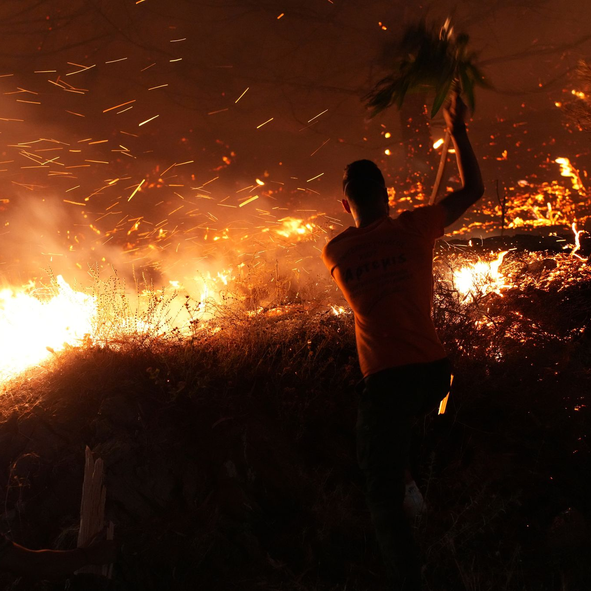 Stecken Brandstifter hinter den Feuern? - Foto: Pantelis Fykaris/Politischios.gr/AP/dpa