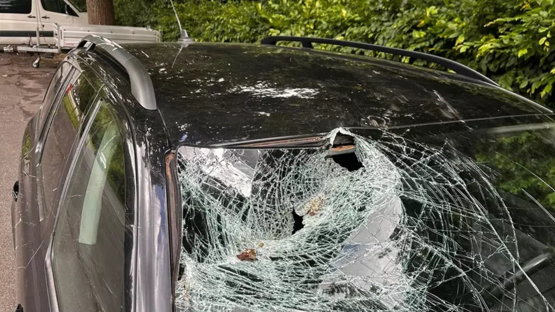 FW-DT: Baum auf Fahrbahn - Windschutzscheibe getroffen - Bild: presseportal.de