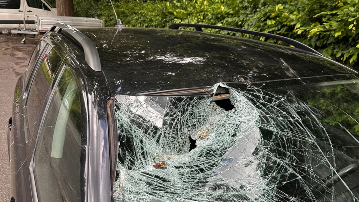 FW-DT: Baum auf Fahrbahn - Windschutzscheibe getroffen - Foto: presseportal.de
