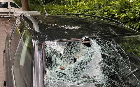 FW-DT: Baum auf Fahrbahn - Windschutzscheibe getroffen - Foto: presseportal.de