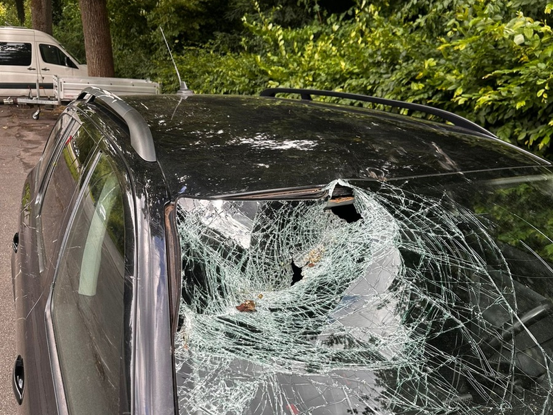 FW-DT: Baum auf Fahrbahn - Windschutzscheibe getroffen - Foto: presseportal.de