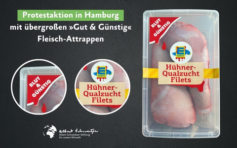 Einladung: Tierschutzprotest vor der Edeka-Zentrale in Hamburg am 25. Juni - Foto: presseportal.de