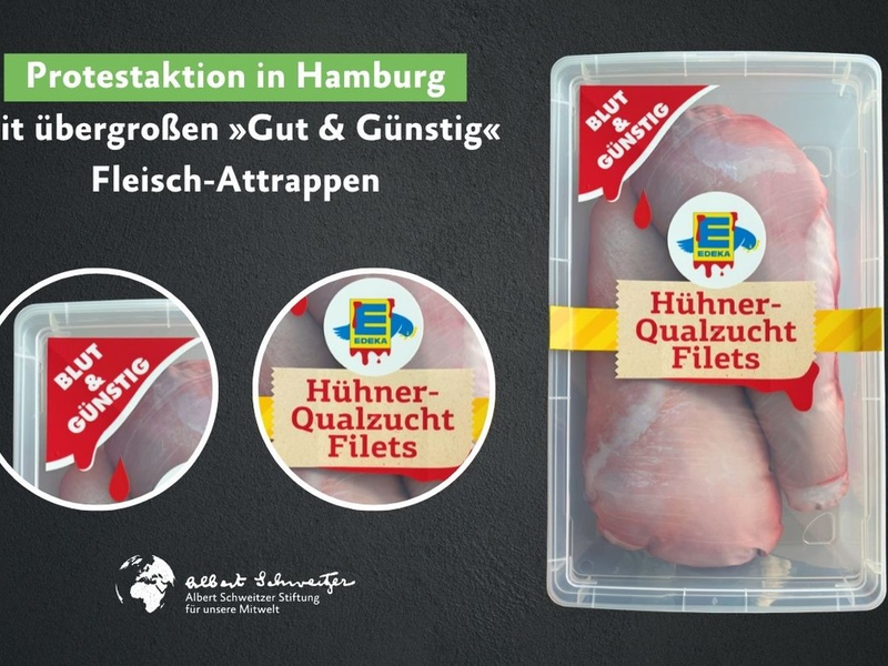 Einladung: Tierschutzprotest vor der Edeka-Zentrale in Hamburg am 25. Juni - Foto: presseportal.de