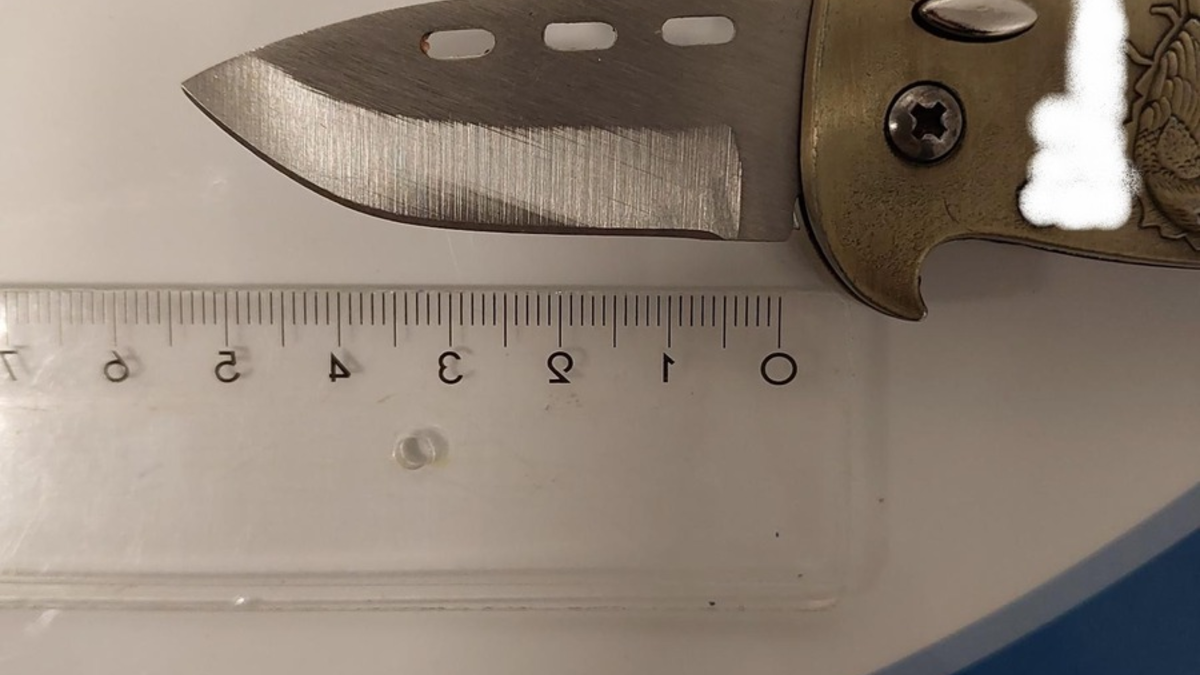 BPOL-HH: Festnahme einer Frau mit Betäubungsmitteln und Springmesser - Lebensgefährtin zahlt 645 Euro Geldstrafe und bewahrt per Haftbefehl gesuchte Frau vor Verbüßung einer Freiheitsstrafe von 129 Tagen - Foto: presseportal.de